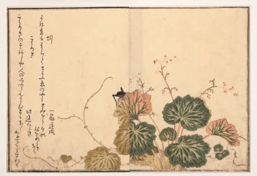 ミミズと黒いコオロギ、1788年
